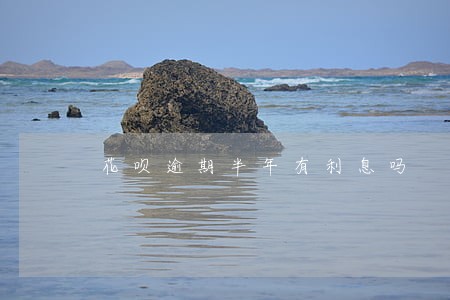 花呗逾期半年有利息吗 花呗逾期半年有利息吗