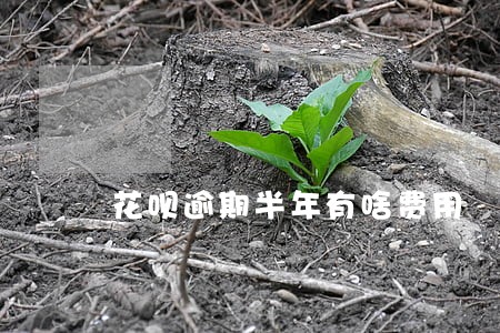 花呗逾期半年有啥费用