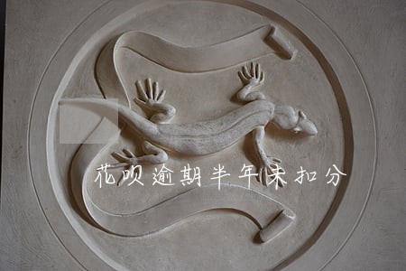 花呗逾期半年未扣分