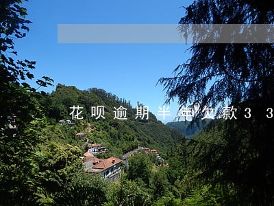 花呗逾期半年欠款3300 花呗逾期半年欠款3300