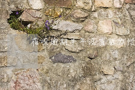 花呗逾期半年没有能力偿还 花呗逾期半年没有能力偿还