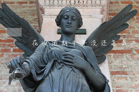 花呗逾期半年没还怎么办 花呗逾期半年没还怎么办