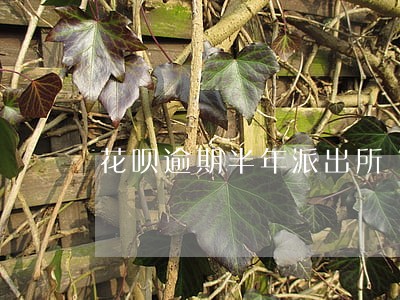花呗逾期半年派出所 花呗逾期半年派出所