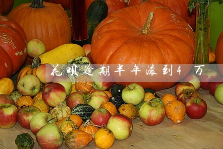 花呗逾期半年滚到4万 花呗逾期半年滚到4万