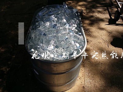 花呗逾期半年突然能用了