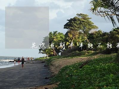 花呗逾期半年能不能买火车票 花呗逾期半年能不能买火车票