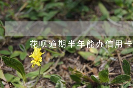花呗逾期半年能办信用卡不 花呗逾期半年能办信用卡不