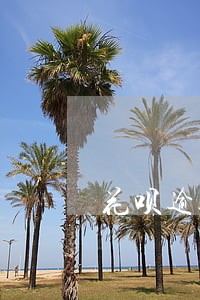 花呗逾期半年被冻结有办法恢复么 花呗逾期半年被冻结有办法恢复么