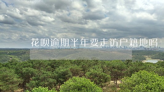 花呗逾期半年要走访户籍地吗 花呗逾期半年要走访户籍地吗