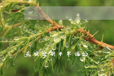 花呗逾期半年诉讼 花呗逾期半年诉讼