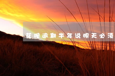 花呗逾期半年说明天必须还 花呗逾期半年说明天必须还