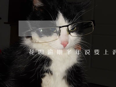 花呗逾期半年说要上诉 花呗逾期半年说要上诉