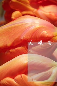 花呗逾期半年说要走访户籍 花呗逾期半年说要走访户籍