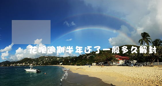 花呗逾期半年还了一般多久解封