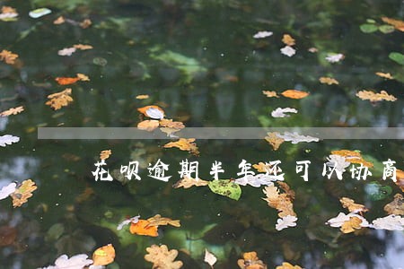 花呗逾期半年还可以协商 花呗逾期半年还可以协商