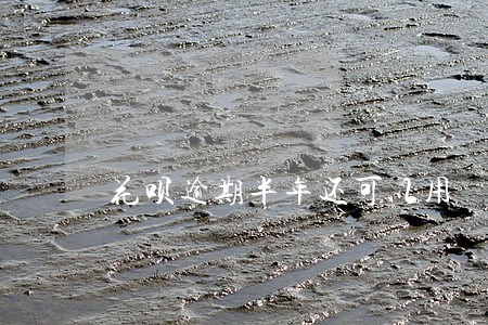 花呗逾期半年还可以用 花呗逾期半年还可以用