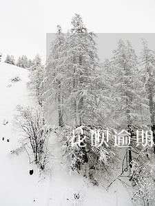 花呗逾期半年还完以后还能用吗