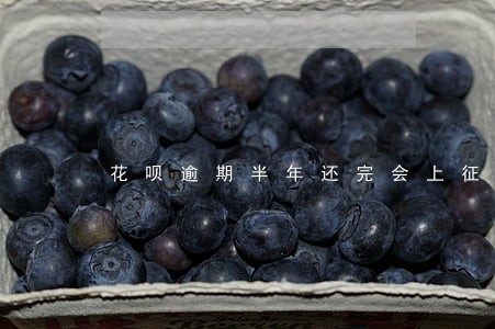 花呗逾期半年还完会上征信吗 花呗逾期半年还完会上征信吗