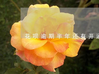 花呗逾期半年还有开通的希望吗 花呗逾期半年还有开通的希望吗