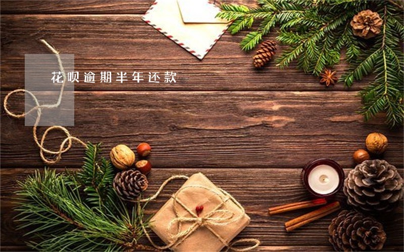 花呗逾期半年还款 花呗逾期半年还款