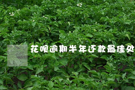 花呗逾期半年还款最佳处理方法 花呗逾期半年还款最佳处理方法
