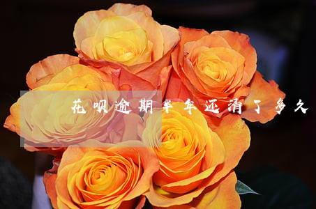 花呗逾期半年还清了多久可以再用 花呗逾期半年还清了多久可以再用