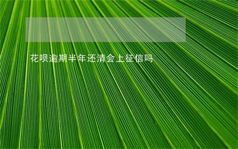 花呗逾期半年还清会上征信吗 花呗逾期半年还清会上征信吗