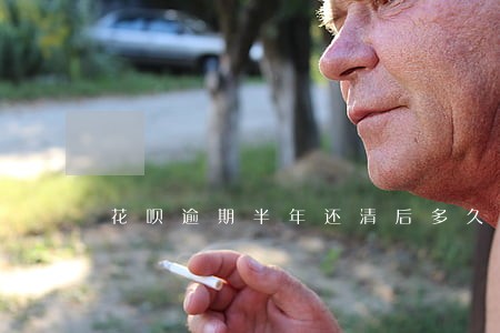 花呗逾期半年还清后多久能恢复 花呗逾期半年还清后多久能恢复