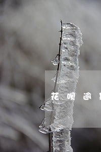 花呗逾期半年还清能用么 花呗逾期半年还清能用么