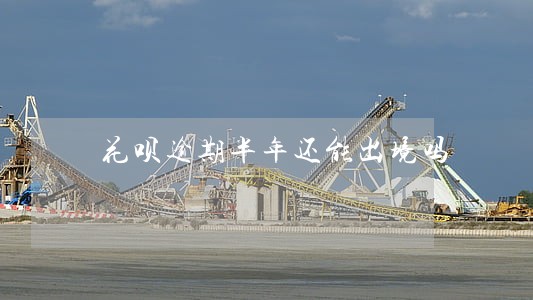 花呗逾期半年还能出境吗 花呗逾期半年还能出境吗