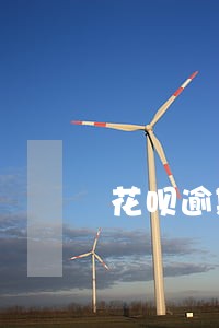 花呗逾期半年还能坐飞机吗 花呗逾期半年还能坐飞机吗