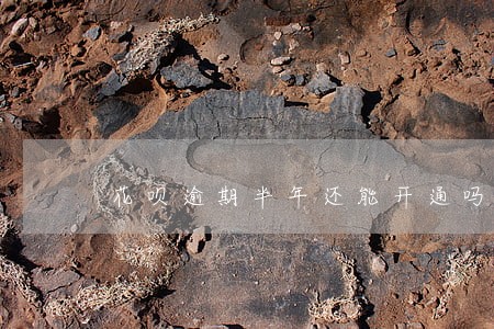 花呗逾期半年还能开通吗 花呗逾期半年还能开通吗