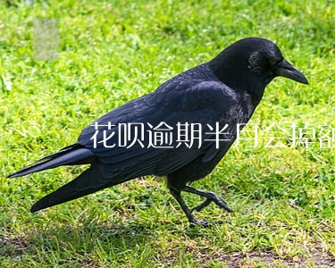 花呗逾期半月会掉额度吗 花呗逾期半月会掉额度吗