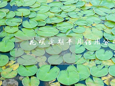 花呗逾期半月信用分掉好多