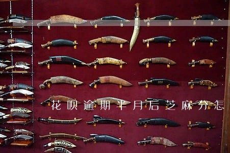 花呗逾期半月后芝麻分怎么涨回来 花呗逾期半月后芝麻分怎么涨回来