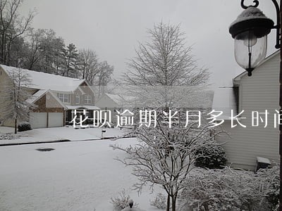 花呗逾期半月多长时间恢复 花呗逾期半月多长时间恢复