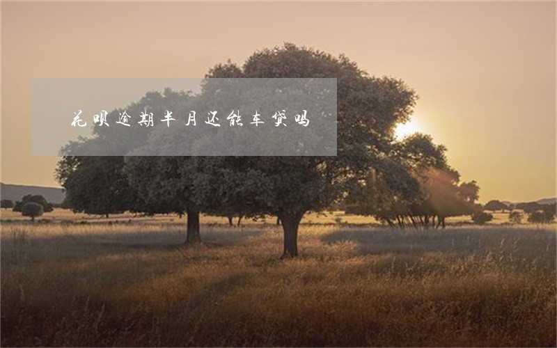 花呗逾期半月还能车贷吗 花呗逾期半月还能车贷吗