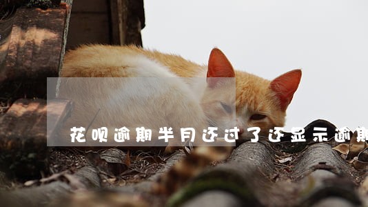 花呗逾期半月还过了还显示逾期 花呗逾期半月还过了还显示逾期