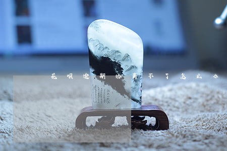 花呗逾期协商不了怎么办