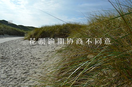 花呗逾期协商不同意
