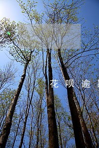 花呗逾期协商不成功要联系家里人 花呗逾期协商不成功要联系家里人