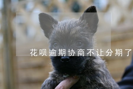花呗逾期协商不让分期了怎么办 花呗逾期协商不让分期了怎么办