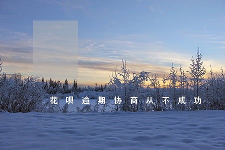 花呗逾期协商从不成功 花呗逾期协商从不成功