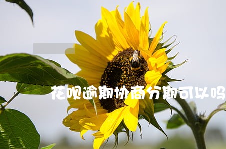 花呗逾期协商分期可以吗 花呗逾期协商分期可以吗
