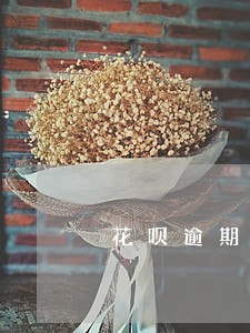 花呗逾期协商分期被拒 花呗逾期协商分期被拒