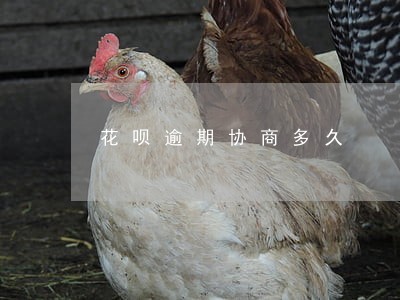 花呗逾期协商多久 花呗逾期协商多久