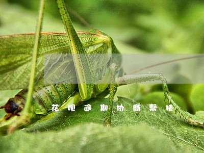 花呗逾期协商帮扶 花呗逾期协商帮扶