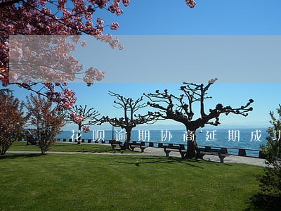 花呗逾期协商延期成功怎么不显示 花呗逾期协商延期成功怎么不显示