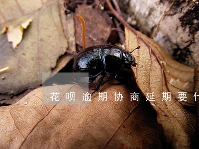 花呗逾期协商延期要什么证明 花呗逾期协商延期要什么证明