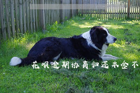 花呗逾期协商归还本金不免除罚息 花呗逾期协商归还本金不免除罚息